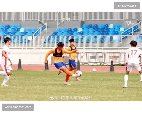 山东泰山队内训练实施策略与方法探讨：提升球员竞技水平的有效路径